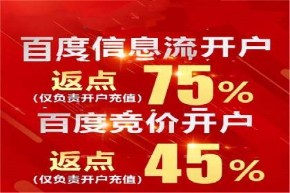 百度推广案例：低成本高回报的精准营销策略